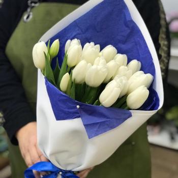 Белые тюльпаны 23 шт. №  50325