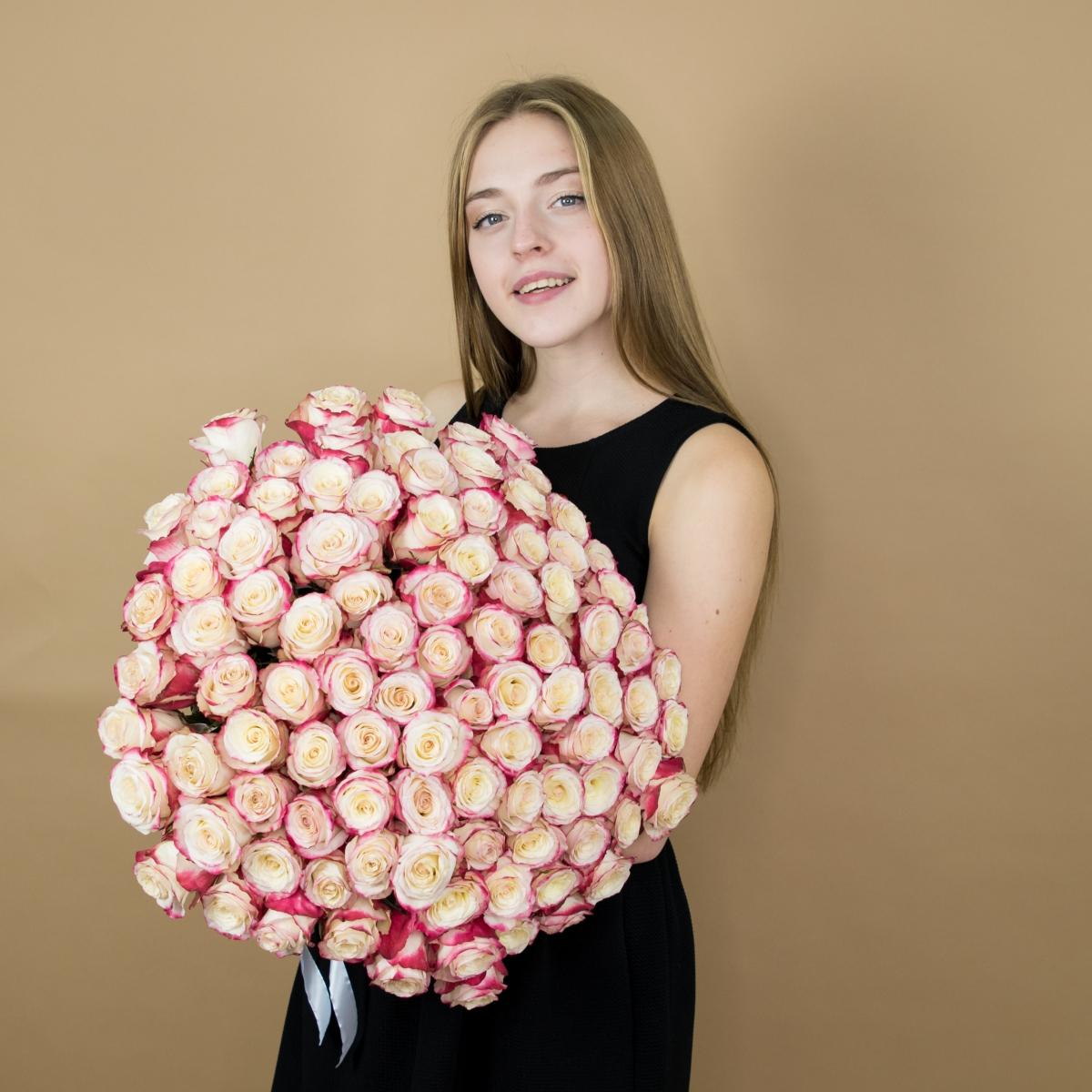 Розы красно-белые (40 см) Эквадор [код  75vl]