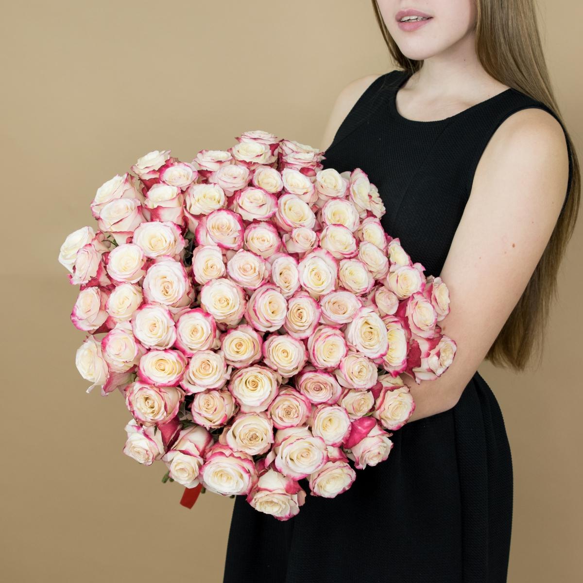 Розы красно-белые 101 шт. (40 см) [№  13350vlg]