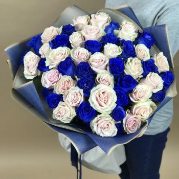 Белая и Синяя Роза 51шт 70см (Эквадор) артикул  17150vlg